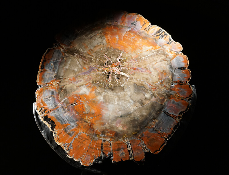 DSC09216